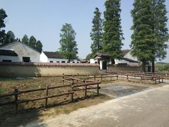 景点-同里国家湿地公园