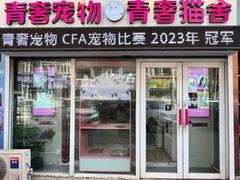 -青奢宠物·青奢猫舍