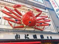 -蟹道乐(道顿堀本店)