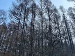 -萨尔浒风景区