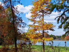-上海海湾国家森林公园