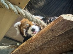 -Zoolung Zoolung动物主题公园(海信广场店)