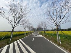 -光明小镇欢乐田园