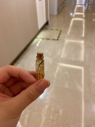 -季橙月子护理中心(金华店)