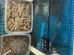 -威海渔村(静安旗舰店)