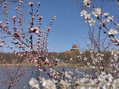 -南开大学(津南校区)
