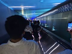 -白鹤梁水下博物馆