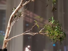 -庄子梦然·城市微度假·24h按摩·推拿·spa