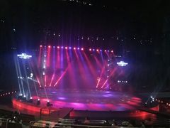 -灵玲国际马戏城