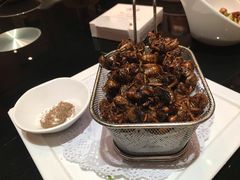 -开海·红岛海鲜虾水饺(石老人店)