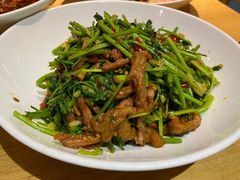 香菜牛肉-胡马八破·川菜小馆(高新万达店)