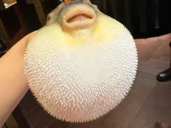 -肆月河豚·淮扬菜·湘菜(华天店)