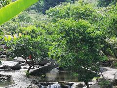 -广东天露山旅游度假区