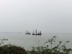 -贡湖湾湿地公园