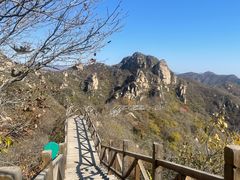 -大岭沟猕猴桃谷风景区