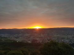 -长虫山生态公园风景林