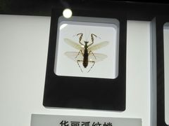 -上海昆虫博物馆