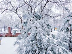 -元大都城垣遗址公园