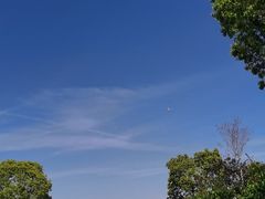 -春花秋色城市公园