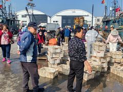 -龙王塘渔港