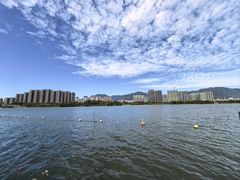 -飞来湖湿地公园