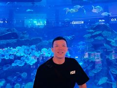 -迪拜水族馆及水下动物园