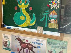 -爱侣·安琦尔宠物医院·中兽医针灸·心内科·狂犬免疫点(宝山区院)