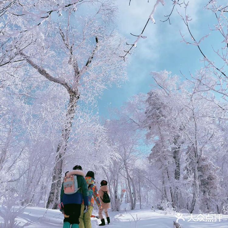 雪乡交通最实用攻略:（一）离雪乡最近的高铁站