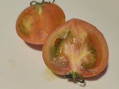 -四季民福烤鸭店(通州马驹桥店)