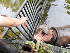 景点-海南热带野生动植物园