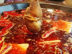 屠场鲜毛肚-映山红鲜货火锅(鱼嘴店)