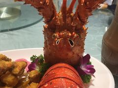 -鱼翅楼·津派砂锅鱼翅(水上公园店)