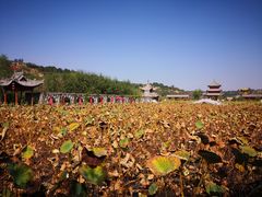 -渭南桃花源民俗文化园