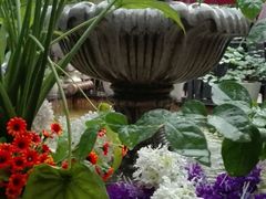 -火车头法国西餐厅