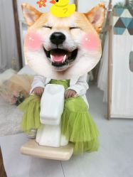 -玛瑞莎·儿童·亲子摄影(越秀店)