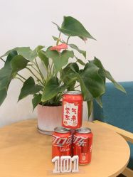 -章光101防脱养发荟