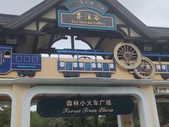 -深圳东部华侨城茵特拉根酒店