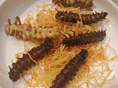 -宋艳华餐馆(凤凰美食城店)