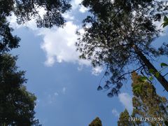 -云涛森林温泉