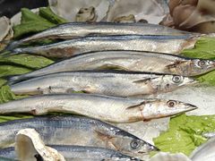 -圆顶阁西餐厅(郑州索菲特国际饭店 )