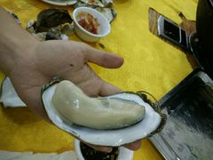 -蚝专家(北滘店)