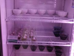 -南美元生态大酒店(海珠店)