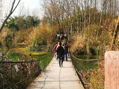 -桤木河湿地公园