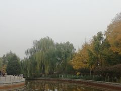 -康庄公园