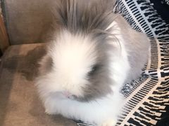 -平行世界·猫咖(首经贸店)