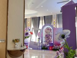 -深圳美莱医疗美容医院