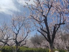 -北宫国家森林公园