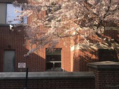 -宾夕法尼亚大学沃顿商学院