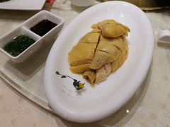 白斩鸡-顺风海鲜港(金玉兰店)