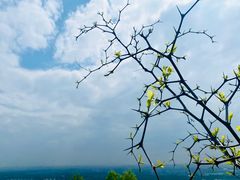 -北京西山国家森林公园